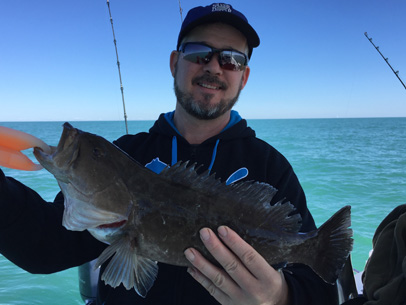 Angling Adventures Gag Grouper